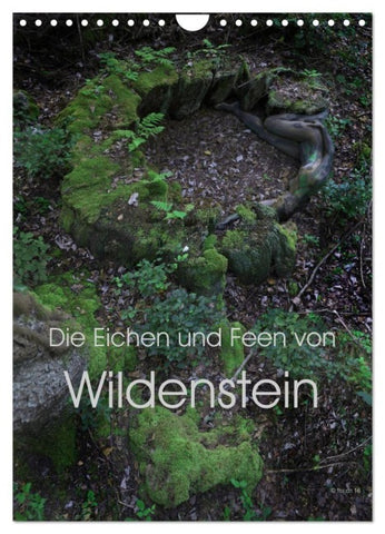 Die Eichen und Feen von Wildenstein (Wandkalender 2027 DIN A4 hoch), CALVENDO Monatskalender