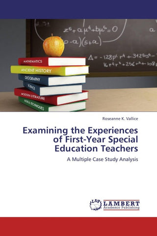 Examining the Experiences of First-Year Special Education Teachers