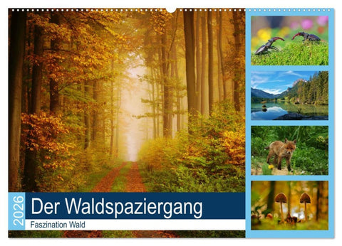 Der Waldspaziergang (Wandkalender 2026 DIN A2 quer), CALVENDO Monatskalender