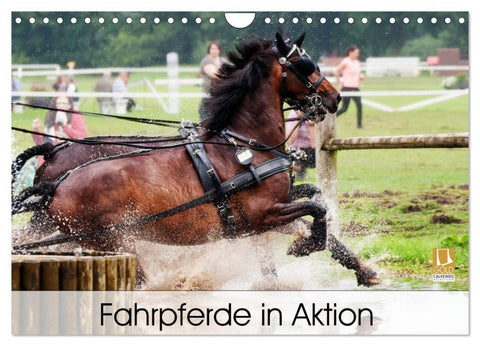 Fahrpferde in Aktion (Wandkalender 2026 DIN A4 quer), CALVENDO Monatskalender