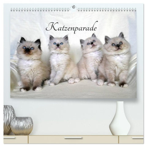 Katzenparade (hochwertiger Premium Wandkalender 2027 DIN A2 quer), Kunstdruck in Hochglanz