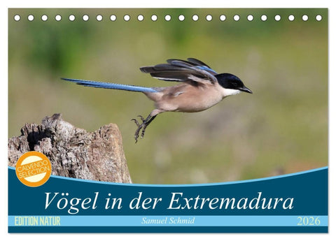 Vögel in der Extremadura (Tischkalender 2026 DIN A5 quer), CALVENDO Monatskalender