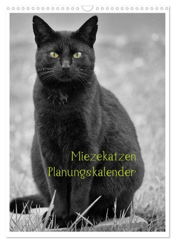 Miezekatzen Planungskalender (Wandkalender 2026 DIN A3 hoch), CALVENDO Monatskalender