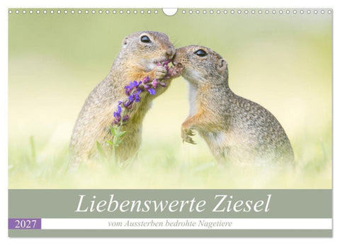 Liebenswerte Ziesel - vom Aussterben bedrohte Nagetiere (Wandkalender 2027 DIN A3 quer), CALVENDO Monatskalender