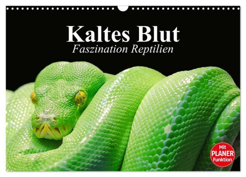 Kaltes Blut. Faszination Reptilien (Wandkalender 2027 DIN A3 quer), CALVENDO Monatskalender
