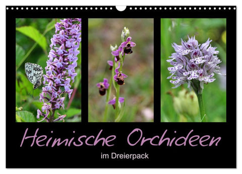 Heimische Orchideen im Dreierpack (Wandkalender 2026 DIN A3 quer), CALVENDO Monatskalender