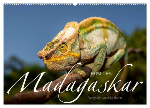 Tierisches Madagaskar (Wandkalender 2027 DIN A2 quer), CALVENDO Monatskalender
