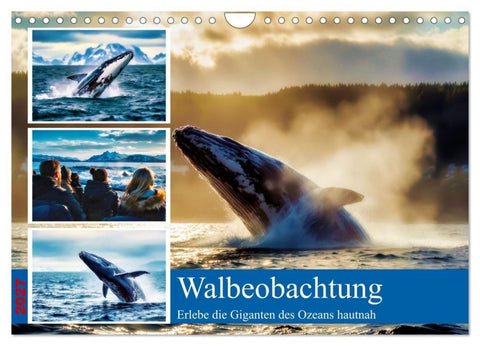 Whale Watching (Wandkalender 2027 DIN A4 quer), CALVENDO Monatskalender