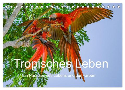 Tropisches Leben Ein Paradies des Lebens und der Farben (Tischkalender 2027 DIN A5 quer), CALVENDO Monatskalender