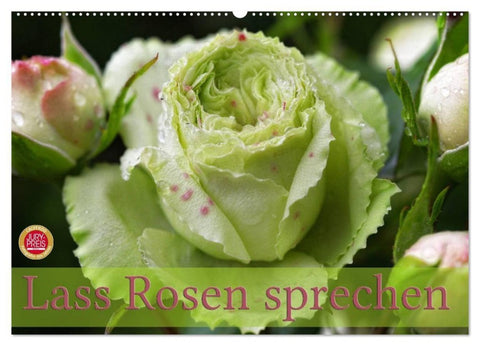 Lass Rosen sprechen (Wandkalender 2027 DIN A2 quer), CALVENDO Monatskalender