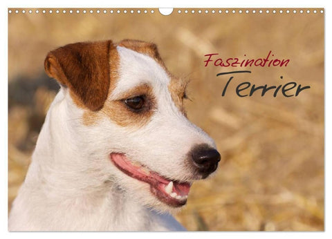 Faszination Terrier (Wandkalender 2027 DIN A3 quer), CALVENDO Monatskalender