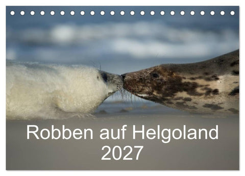 Robben auf Helgoland 2027 (Tischkalender 2027 DIN A5 quer), CALVENDO Monatskalender