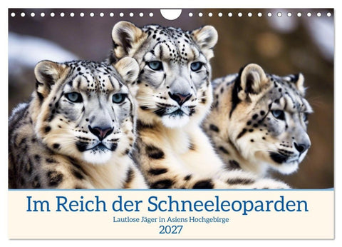 Im Reich der Schneeleoparden (Wandkalender 2027 DIN A4 quer), CALVENDO Monatskalender