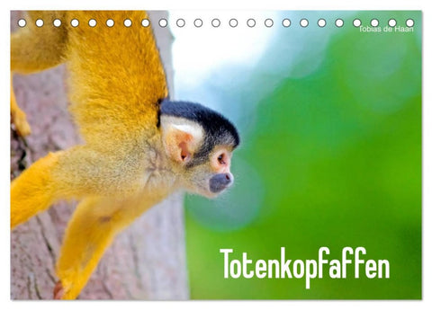 Totenkopfaffen (Tischkalender 2026 DIN A5 quer), CALVENDO Monatskalender