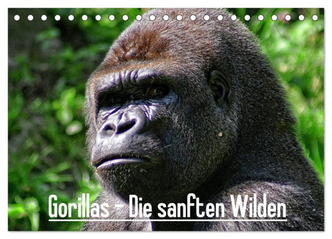 Gorillas - Die sanften Wilden (Tischkalender 2026 DIN A5 quer), CALVENDO Monatskalender