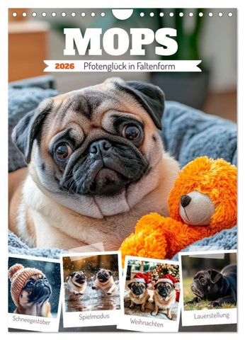 MOPS Pfotenglück in Faltenform (Wandkalender 2026 DIN A4 hoch), CALVENDO Monatskalender