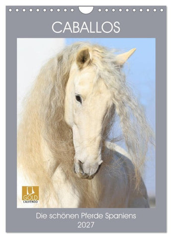 Caballos - Die schönen Pferde Spaniens (Wandkalender 2027 DIN A4 hoch), CALVENDO Monatskalender