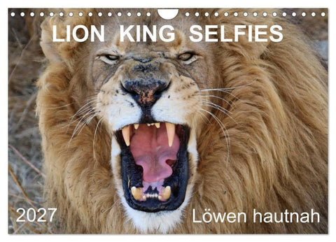 LION KING SELFIES Löwen hautnah (Wandkalender 2027 DIN A4 quer), CALVENDO Monatskalender