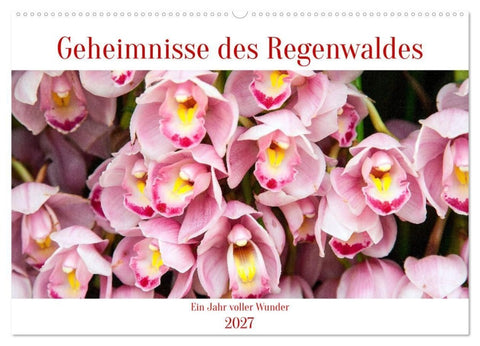 Geheimnisse des Regenwaldes (Wandkalender 2027 DIN A2 quer), CALVENDO Monatskalender