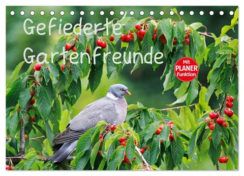 Gefiederte Gartenfreunde (Tischkalender 2026 DIN A5 quer), CALVENDO Monatskalender