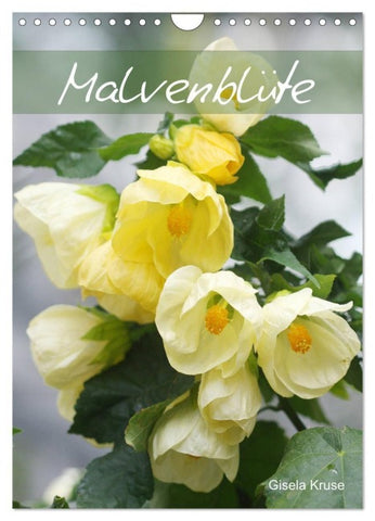 Malvenblüte (Wandkalender 2027 DIN A4 hoch), CALVENDO Monatskalender