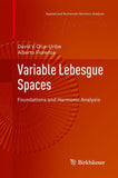 Variable Lebesgue Spaces