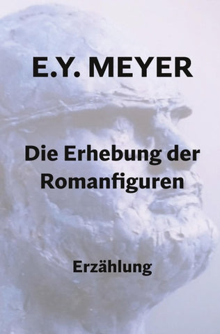 Die Erhebung der Romanfiguren