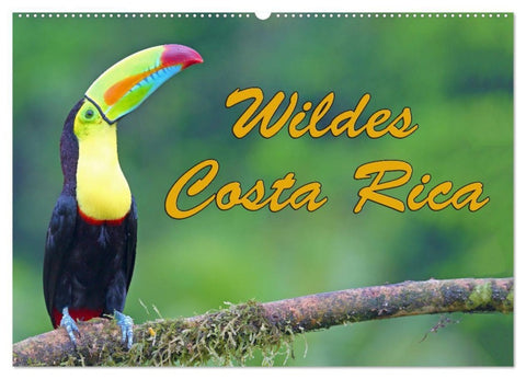 Wildes Costa Rica (Wandkalender 2027 DIN A2 quer), CALVENDO Monatskalender