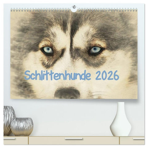 Schlittenhunde 2026 (hochwertiger Premium Wandkalender 2026 DIN A2 quer), Kunstdruck in Hochglanz