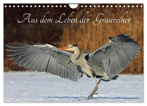 Aus dem Leben der Graureiher (Wandkalender 2027 DIN A4 quer), CALVENDO Monatskalender
