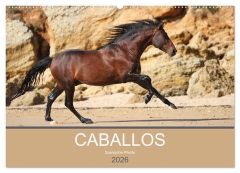Caballos Spanische Pferde 2026 (Wandkalender 2026 DIN A2 quer), CALVENDO Monatskalender