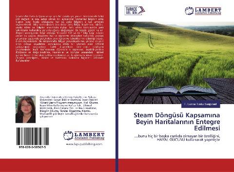 Steam Döngüsü Kapsam¿naBeyin Haritalar¿n¿n Entegre Edilmesi