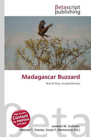 Madagascar Buzzard