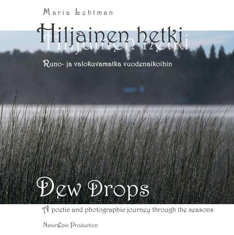 Hiljainen Hetki