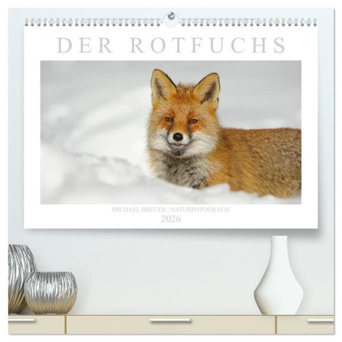 Der Rotfuchs (hochwertiger Premium Wandkalender 2026 DIN A2 quer), Kunstdruck in Hochglanz