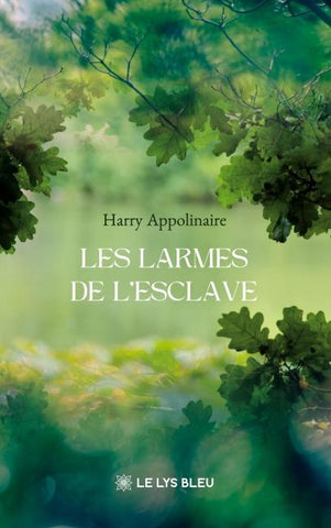 Les larmes de l'esclave