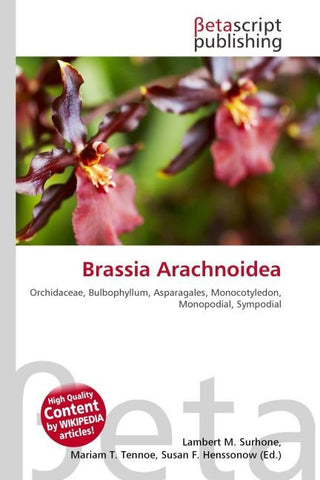 Brassia Arachnoidea