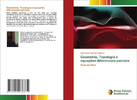 Geometria, Topologia e equações diferenciais parciais