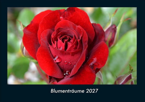Blumenträume 2027 Fotokalender DIN A4