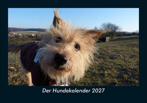 Der Hundekalender 2027 Fotokalender DIN A5