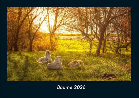 Bäume 2026 Fotokalender DIN A4