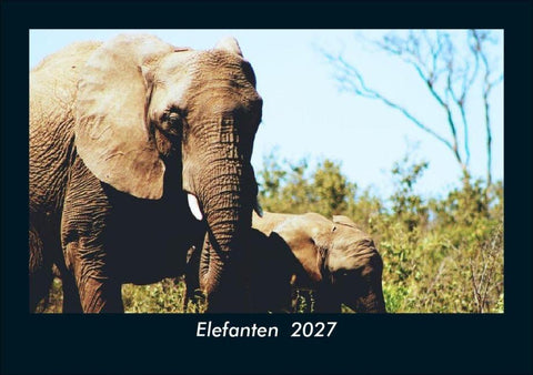 Elefanten  2027 Fotokalender DIN A5