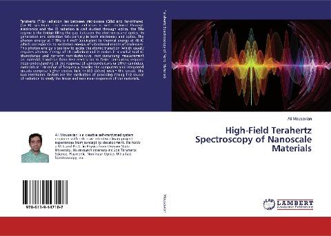 High-Field Terahertz Spectroscopy of Nanoscale Materials