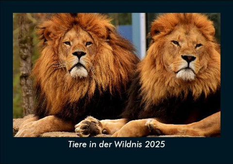Tiere in der Wildnis 2025 Fotokalender DIN A5