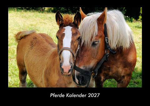 Pferde Kalender 2027 Fotokalender DIN A3