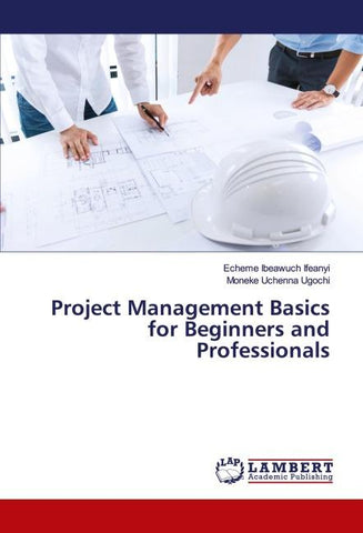 Project Management Basics for Beginners and Professionals