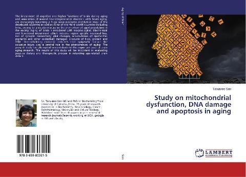 Study on mitochondrial dysfunction, DNA damage and apoptosis in aging