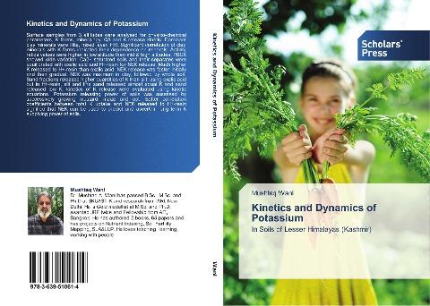 Kinetics and Dynamics of Potassium