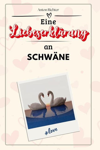 Eine Liebeserklärung an Schwäne