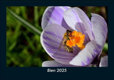 Bien 2025 Fotokalender DIN A5